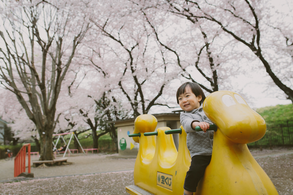 桜　写真　子供